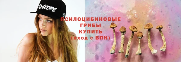 мескалин Арсеньев