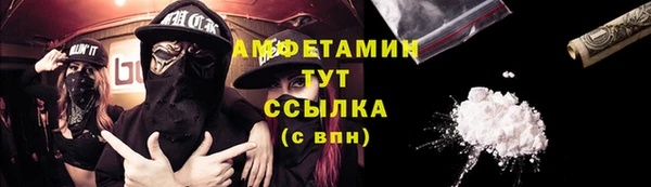 гидра Аркадак