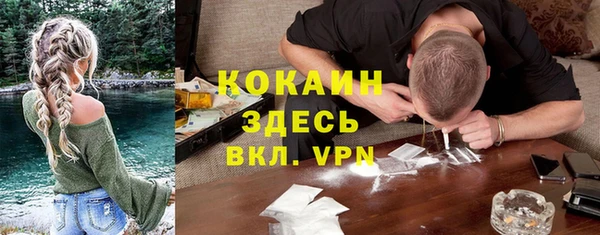 гидра Аркадак