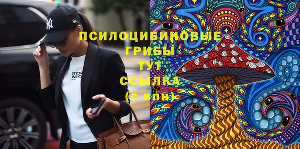 гидра Аркадак