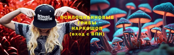 мескалин Арсеньев